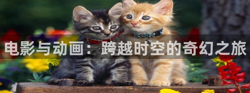 青丝影院电视剧在线观看