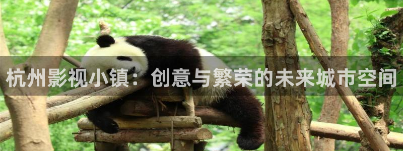 青丝影院官网