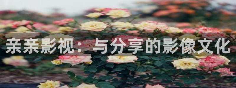 青丝影院电视剧在线观看全集免费：亲亲影视：与分享的影像文化